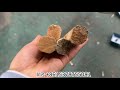 Octangle shape wood rod making machine for badminton racket #woodbroom #broomsticks