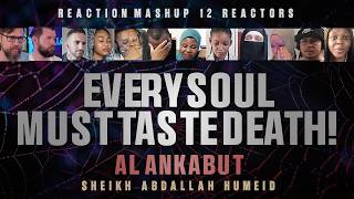'Every Soul Must Taste Death' | People of Different Faiths React to Surah Al-Ankabut