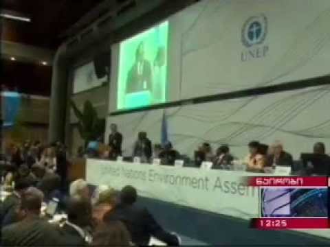 MOE: ხათუნა გოგალაძე გარემოსდაცვითი ასამბლეის მმართველი ორგანოს - ბიუროს ვიცე-პრეზიდენტად  აირჩიეს