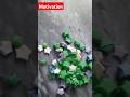 #diyorganizationtrending #diyorganization #diy #habitsforcleanhouse