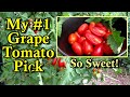 The Best Cherry Tomato for Your Garden is the Juliet Hybrid: A Very Sweet Prolific Grape Tomato!