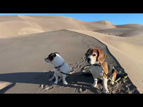 Site: Great Sand Dunes National Park May 21, 2026