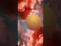 Roblox bee