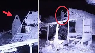 POCONG MELAYANG DI ATAP RUMAH.. 10 MOMEN MENGERIKAN PENAMPAKAN HANTU TERJELAS DAN TERSERAM