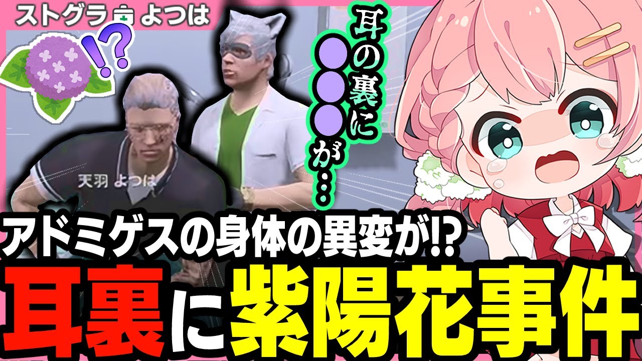 【ストグラ】アドミゲスの耳裏に紫陽花が!? ゲラりすぎて瀕死になってしまうよつは先生【 切り抜き / ストグラ救急隊 / アドミゲスハン / 神崎治 / 橘かげまる / おさよつ 】