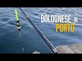 Pesca Bolognese | Una Spigola dietro l'altra Pescando con i Bigattini in Corrente