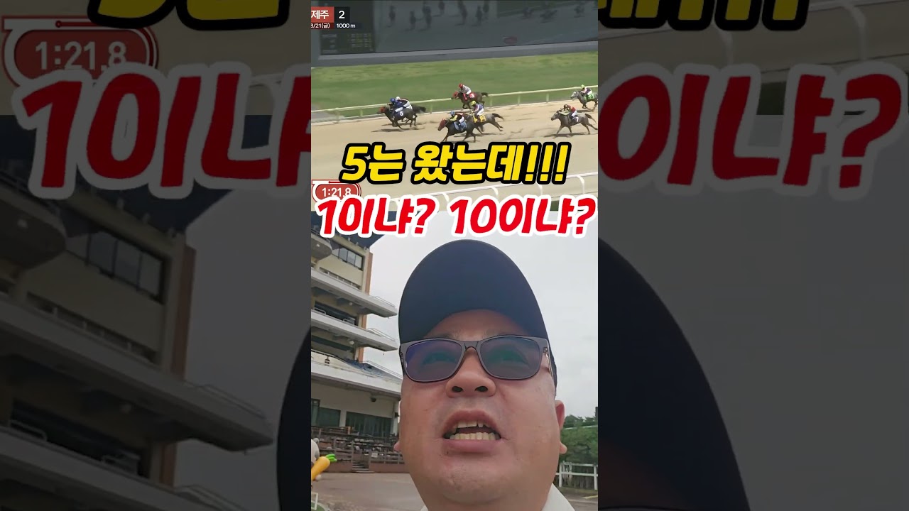 제주 2경주 999배의 아쉬움.ㅠ/제주6경주 복승32배 삼복승55배 적중!!