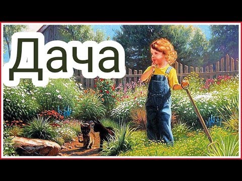 За что я люблю Россию ;) Дача!