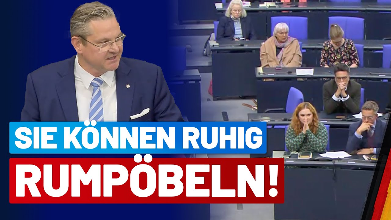 Prof. Dr. Daniel Zerbin nimmt sich grüne Wehrdienstverweigerer vor! - AfD-Fraktion