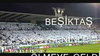 Beşiktaş Seninle Ölmeye Geldik