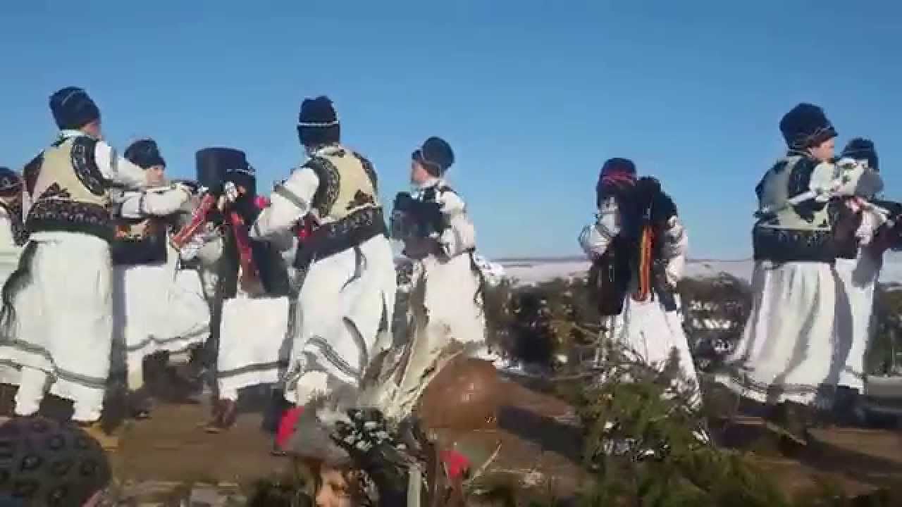 calutul din zvoristea 2014