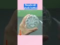 Brilliant Ideas From Plastic Bottles! Don't Throw Away Empty Bottles #diy #tipsandtricks #craft