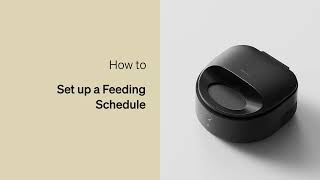 How to Set Up a Feeding Schedule | Petlibro Polar Wet Food Feeder