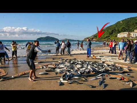 IT WAS SUPPOSED TO BE A SIMPLE FISHING TRIP (I Fished on the Rocky Shore where the Mullet Drag Ne...
