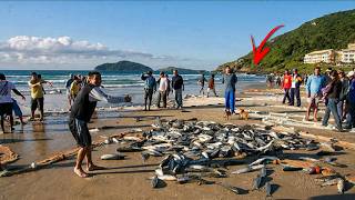 ERA PRA SER UMA SIMPLES PESCARIA (Pesquei no Costão onde Acontece o Arrasto da Tainha) PESCARIA - SC