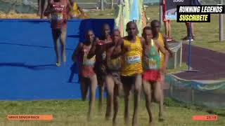 Mundial de Cross Country 2024 - Cross Country Championships Belgrade 24 - RESUMEN