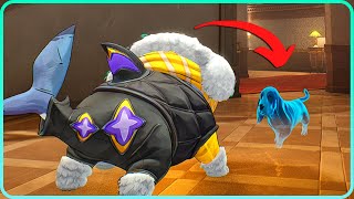 All Ghost Dog Bats Unique Interactions Marvel Rivals