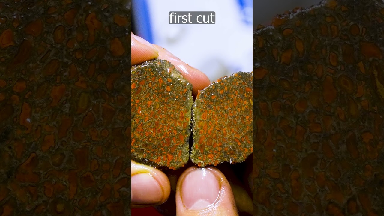 Cutting a fossilised agatized DINOSAUR bone! 