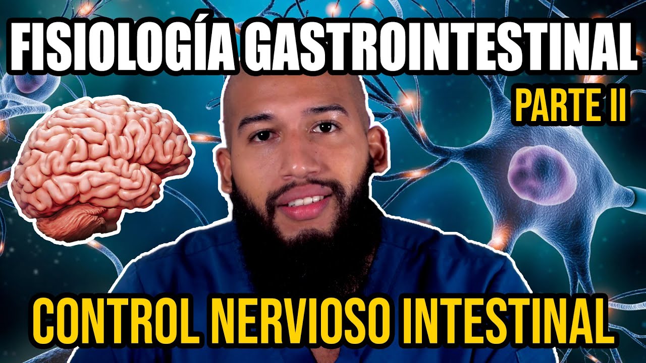 Fisiología GASTROINTESTINAL Pt. II - Sistema Nervioso ENTÉRICO (Plexo de Meissner y Auerbach)