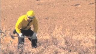 Permits now required for open burning