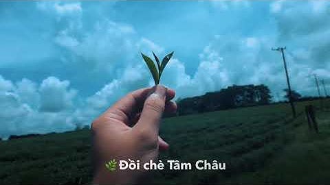 Đất nền biệt thư - FOG GARDEN - Bảo Lộc