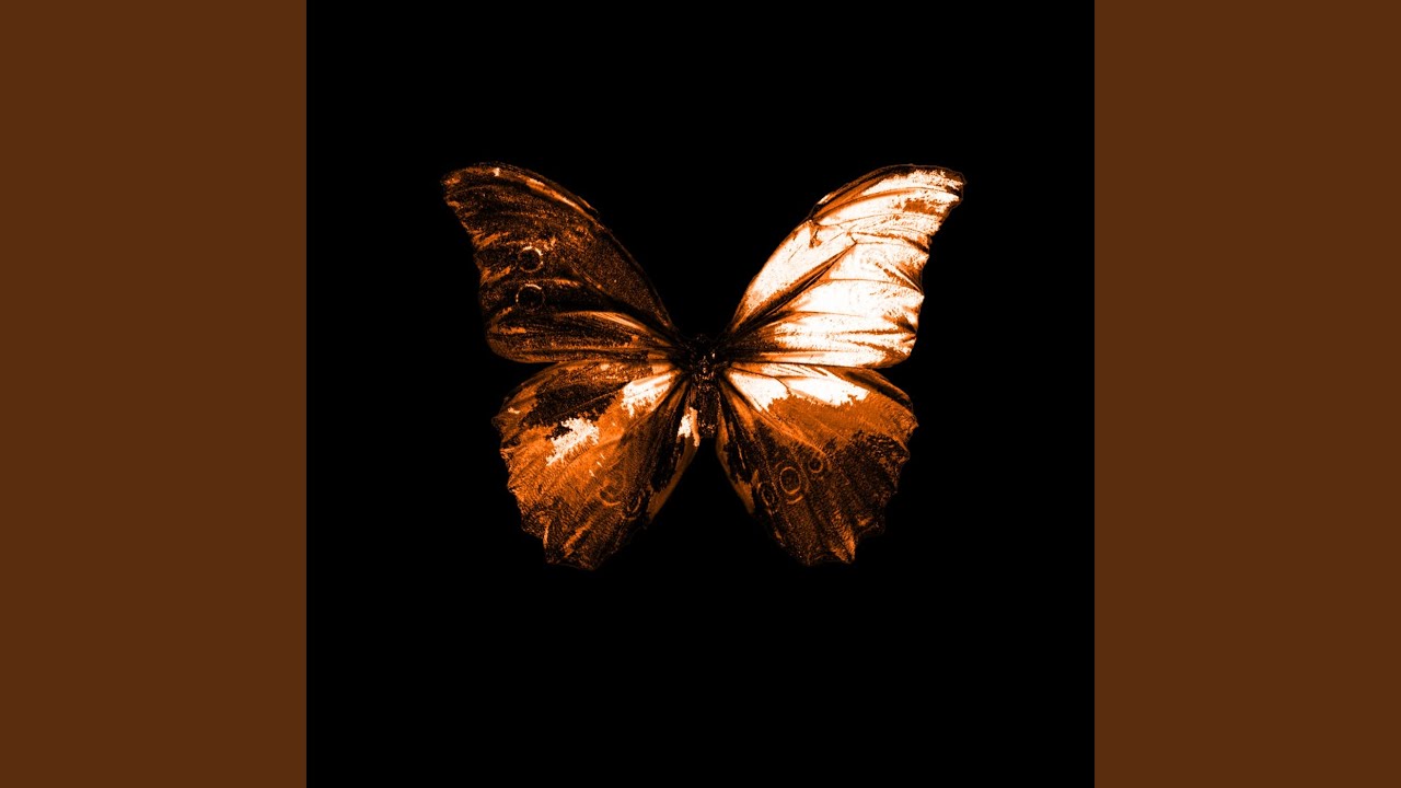 Will auf YouTube ansehen Will auf YouTube ansehen