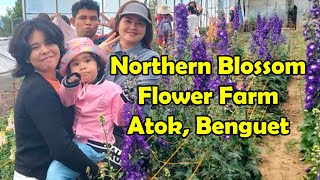 Northern Blossom Flower Farm | Atok, Benguet