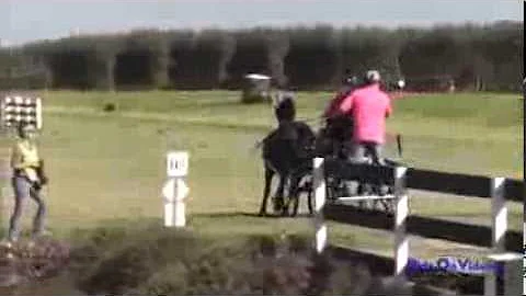 008M Alyson Harris Training Single Horse Marathon ...
