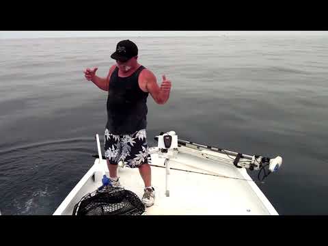 Yellowfin Tuna Breaking Fishing Laws