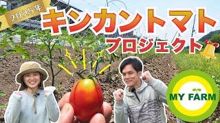 【 とまと…5月23日迄 】 JA全農岐阜 on X: 