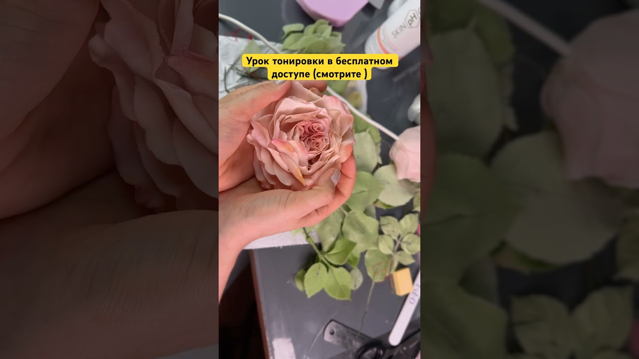 #холодныйфарфор