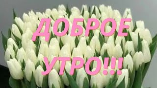 С Добрым Утром Народ Божий!!!