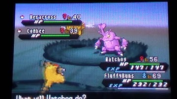 [ISHC+ First Live on YT] Shiny Heracross!!! After 337 RE