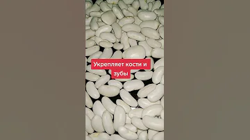 Какая полезнее КРАСНАЯ или БЕЛАЯ? Сравниваем полезные свойства разных сортов ФАСОЛИ!