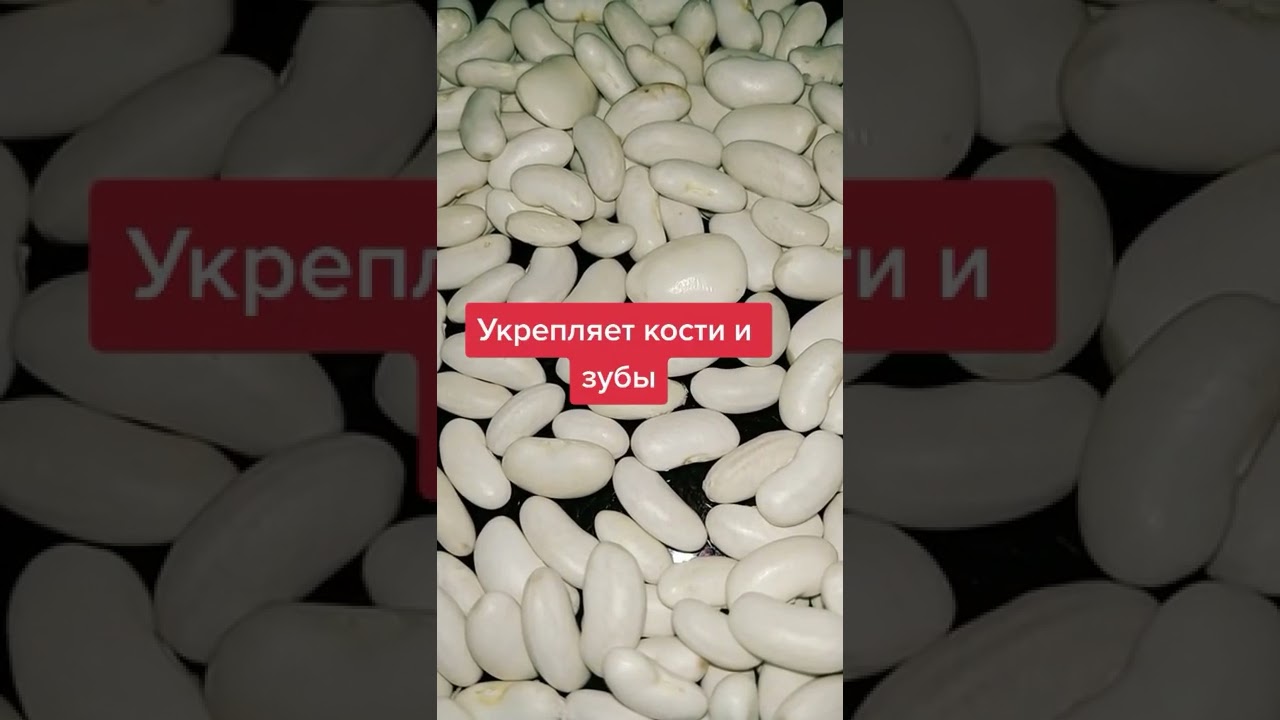 Какая полезнее КРАСНАЯ или БЕЛАЯ? Сравниваем полезные свойства разных сортов ФАСОЛИ!