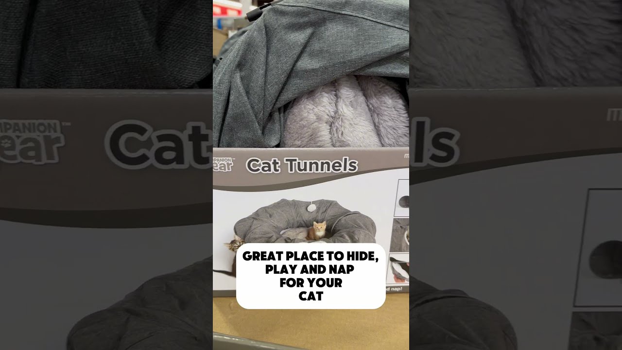  Cat Lovers Alert Run To Costco And Get On Of These Pets