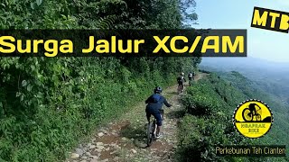 gowes di Kebun Teh Cianten - Surganya 