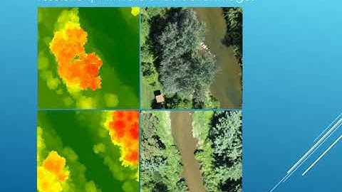 Three Dimensional Modeling of Riparian Vegetations Using Structure from motion and an Unmanned Aeria