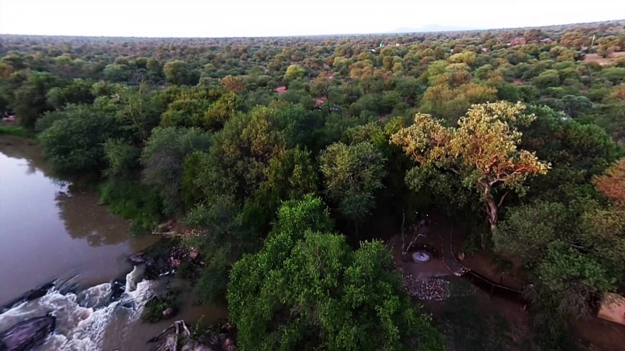 Limpopo Lipadi Private Game Reserve YouTube