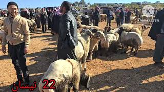 جوله جديده في اسواق الاغنام في سوريا إدلب 22\4\2026 حركه السوق أسعار اللحم غنم الجنيه والخراف لسرحيه