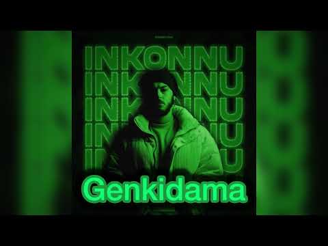Inkonnu GENKIDAMA Audoi Official 2026