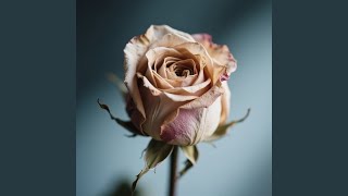 The Last Rose You Gave Me