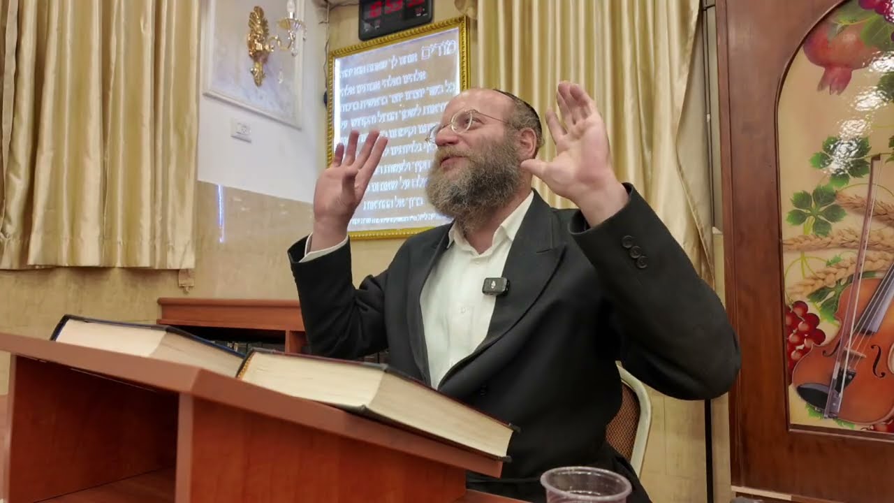 אור החיים