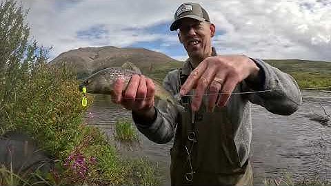 3 Days Solo Camping, Fishing, Hunting & Foraging Food in Arctic