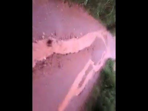 Vídeo: O rio Sena inundou?