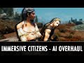 Skyrim Mod: Immersive Citizens - AI Overhaul