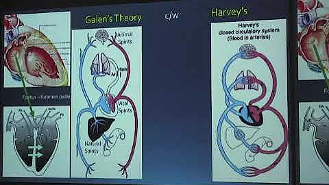 Oct 2019 - Terence Doyle - Circulation, Harvey's R...