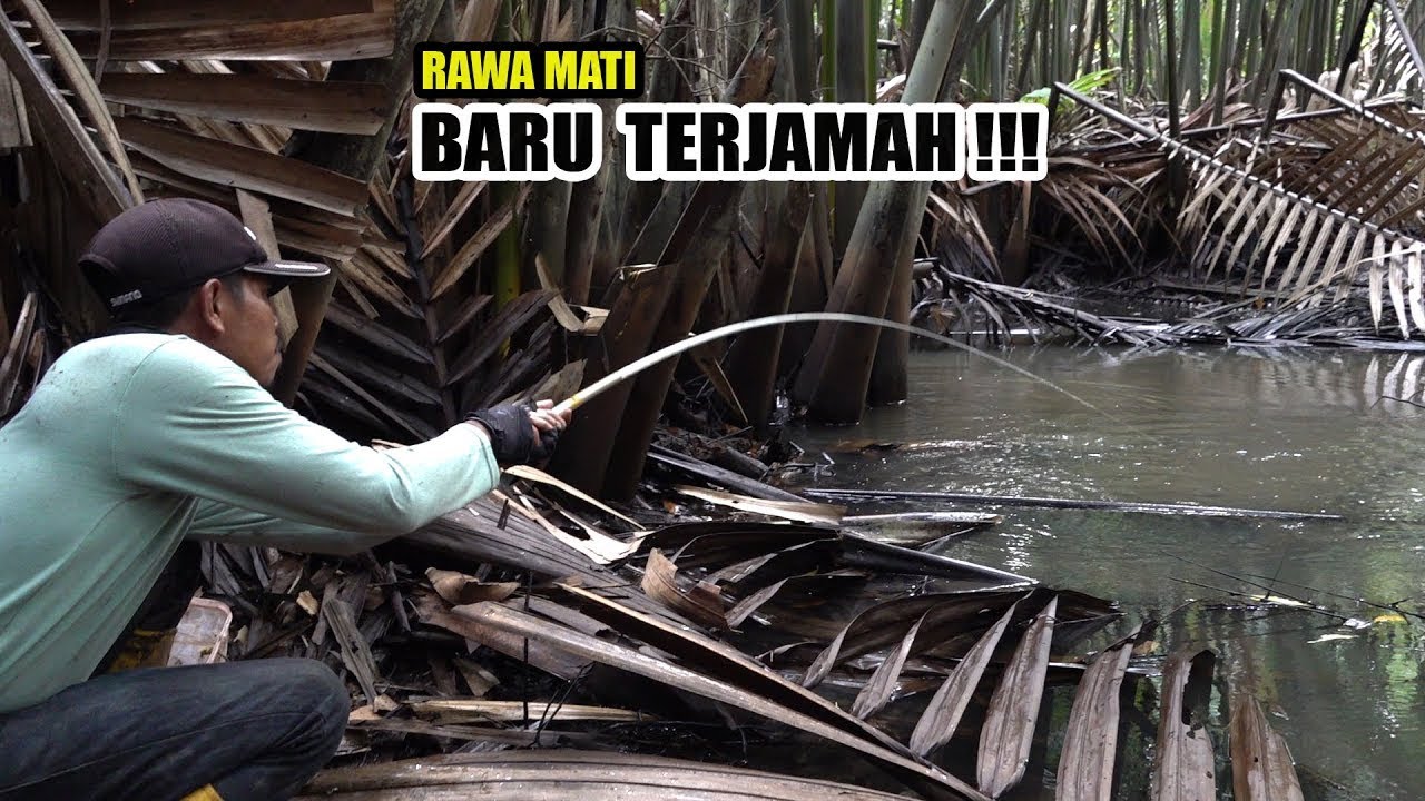 Setapak kaki manusiapun belum pernah ada mancing dispot ini #SG-458