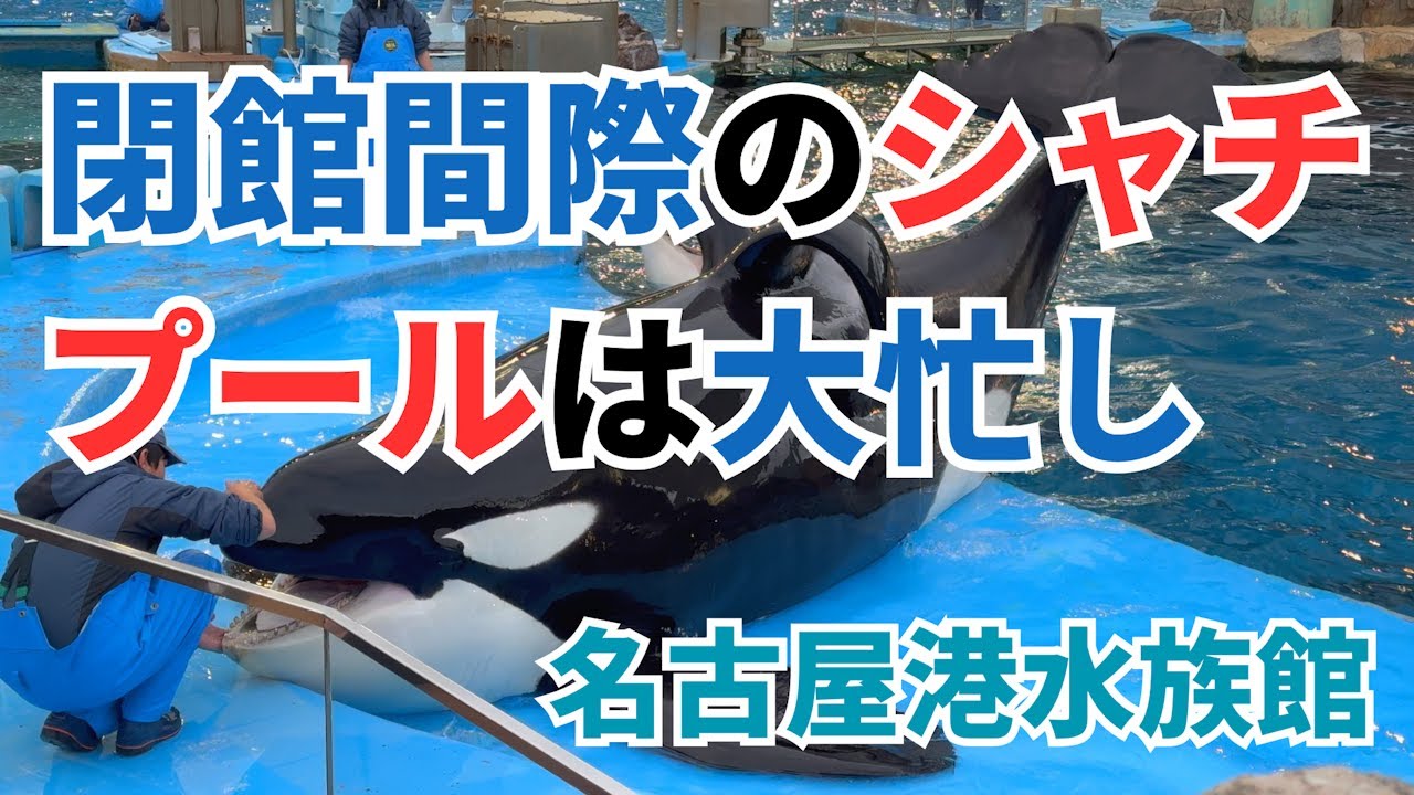 Nagoya Port Aquarium] Measuring Earth's Total Length and Scenes