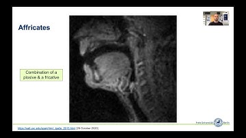 Week 2 (Part 1): IPA, speech organs, & consonants